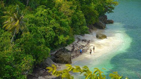 Cauayan City Tourism: All You Need to Know Before .
